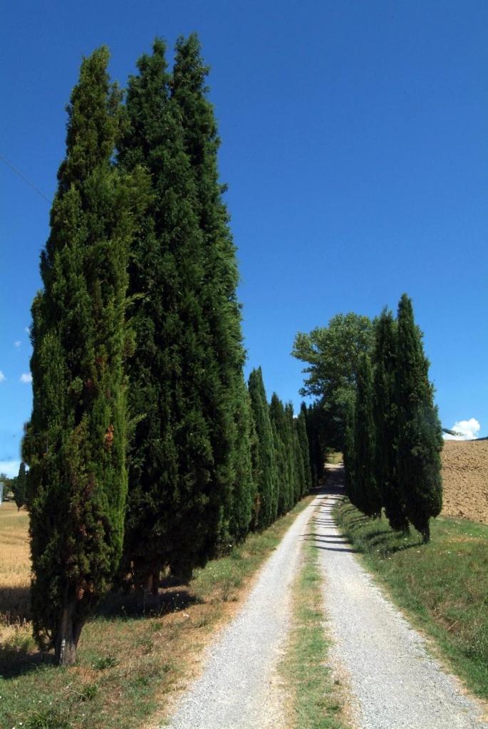 Villa Il Giardinello Монталчино Екстериор снимка